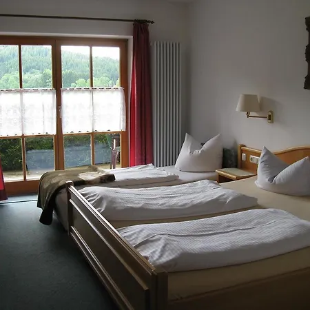 Alpenhotel Allgaeu Guest house 3*