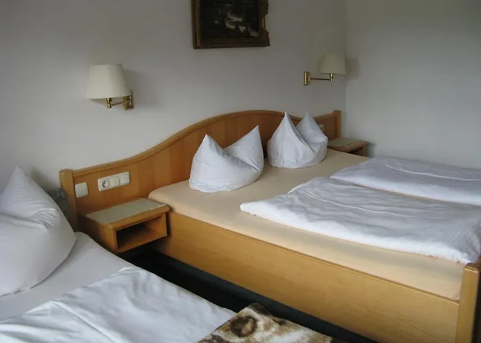 Penzion Alpenhotel Allgaeu 3*