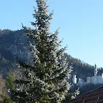 Alpenhotel Allgäu Hohenschwangau